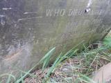 image of grave number 617314